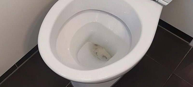 Blocked Toilet KML Plumbing Blocked Toilet KML Plumbing